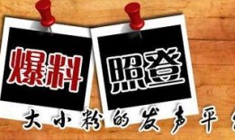 重庆鲁轩最新爆料,最新爆料背后的惊人内幕