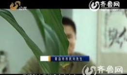 深圳刘先生爆料最新,揭秘最新热点事件内幕